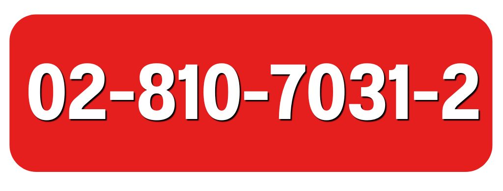02-810-7031